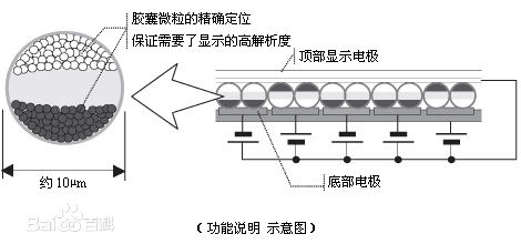 b1ba42d88ec77cc8e2f3707d34487ae0.jpg