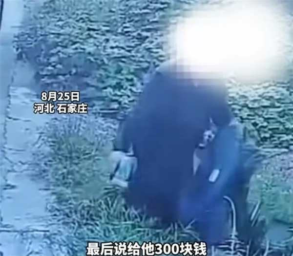 货车司机遇影帝级碰瓷：老人自己把车推沟里后装受伤要钱 赔付完发现上当