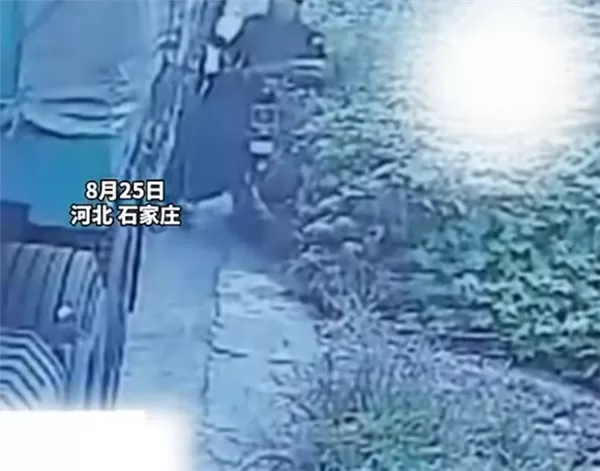 货车司机遇影帝级碰瓷：老人自己把车推沟里后装受伤要钱 赔付完发现上当
